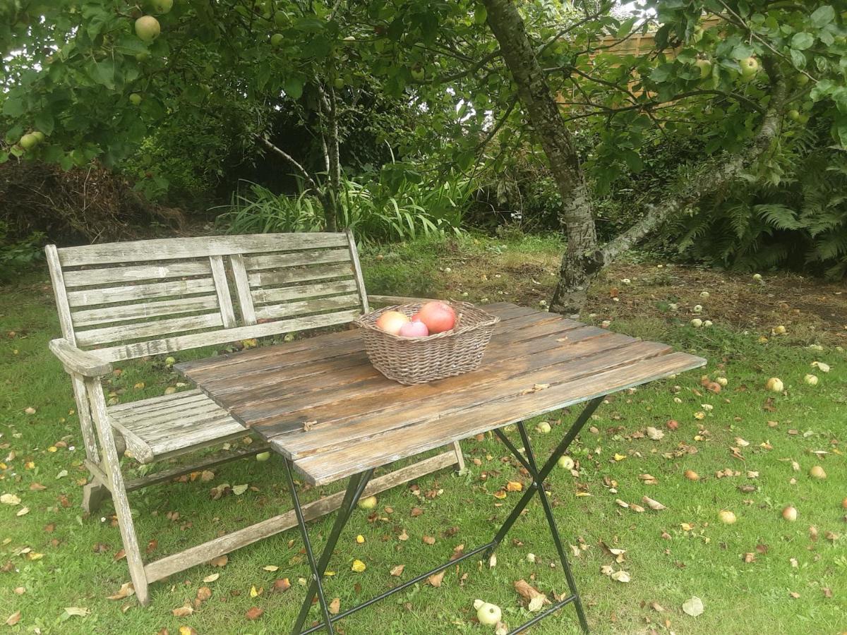 Tranquil Wood Cabin Set In A Beautiful Orchard Villa Penzance Bagian luar foto