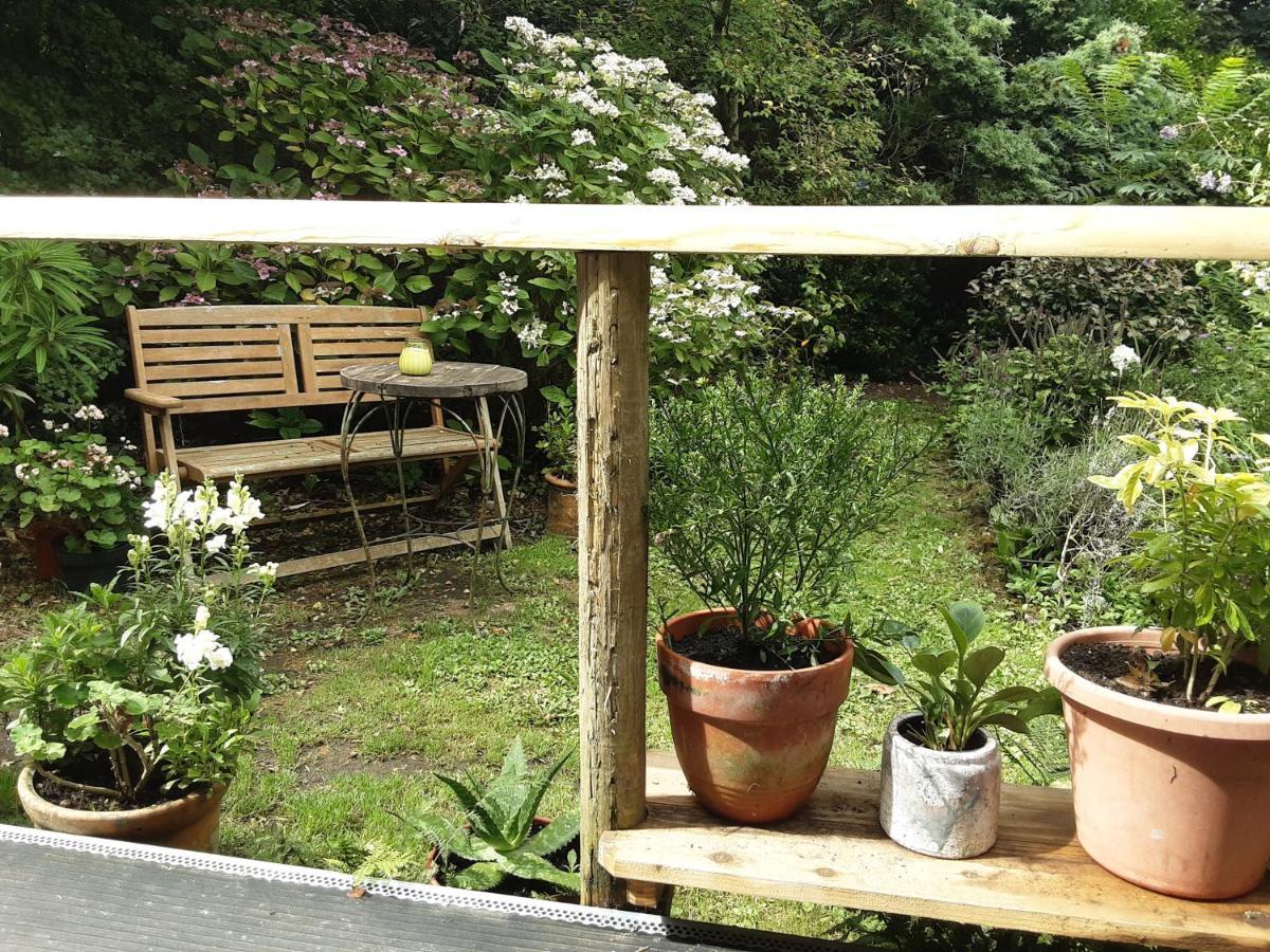 Tranquil Wood Cabin Set In A Beautiful Orchard Villa Penzance Bagian luar foto